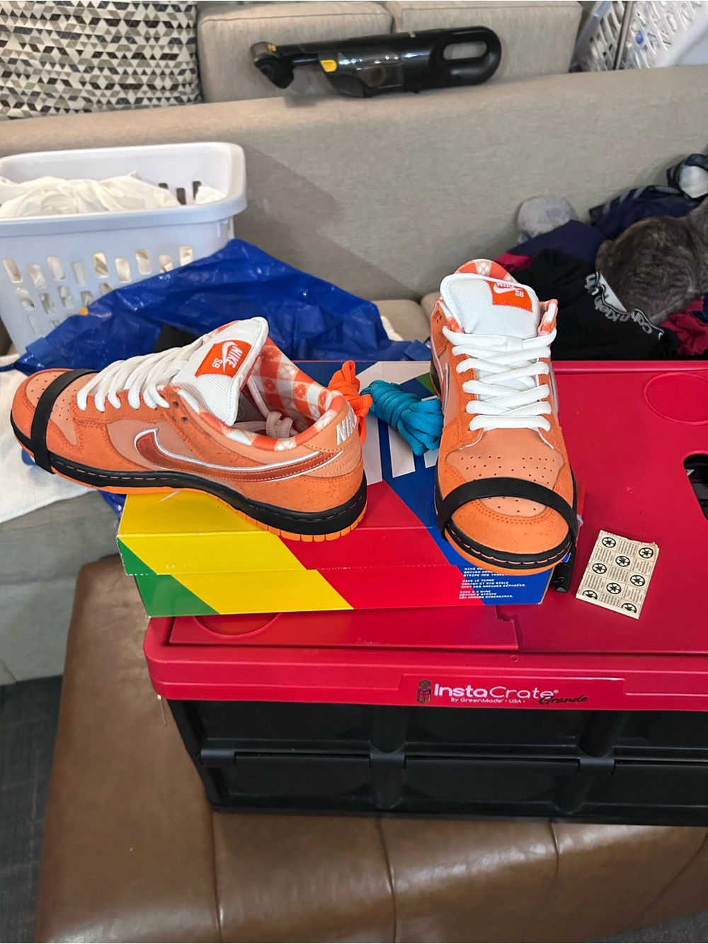 Nike SB Dunk Low x Concepts “orange lobsters”
